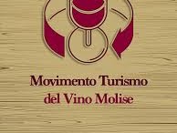 movimento turismo del vino
